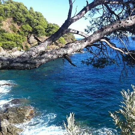 De Au Calme Proche De La Villa