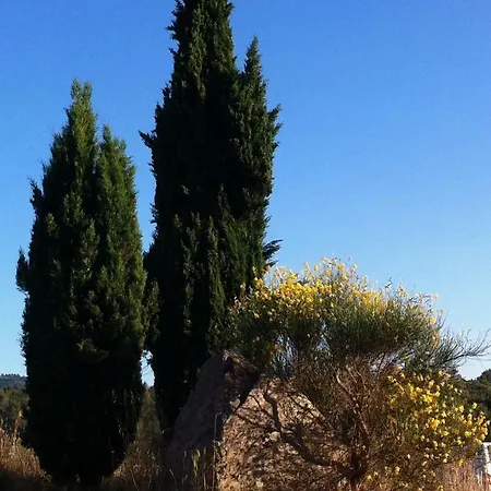 De Au Calme Proche De La