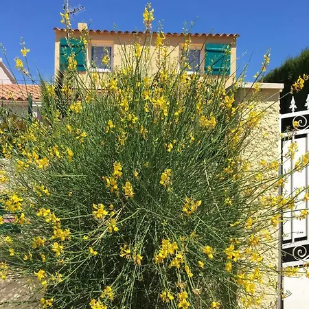Villa De Au Calme Proche De La *